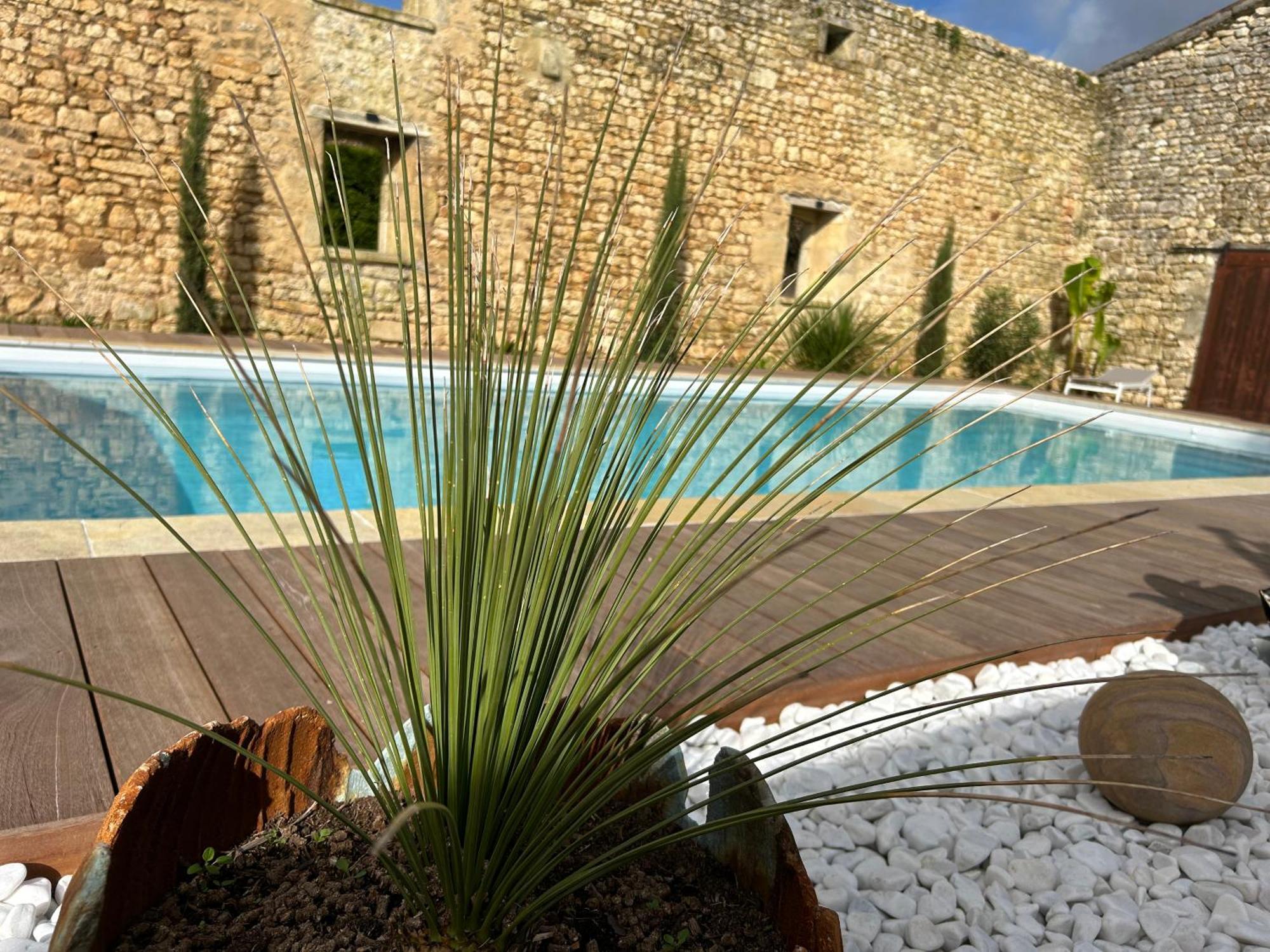 Domaine De La Gemoliere Bed & Breakfast Gemozac Bagian luar foto