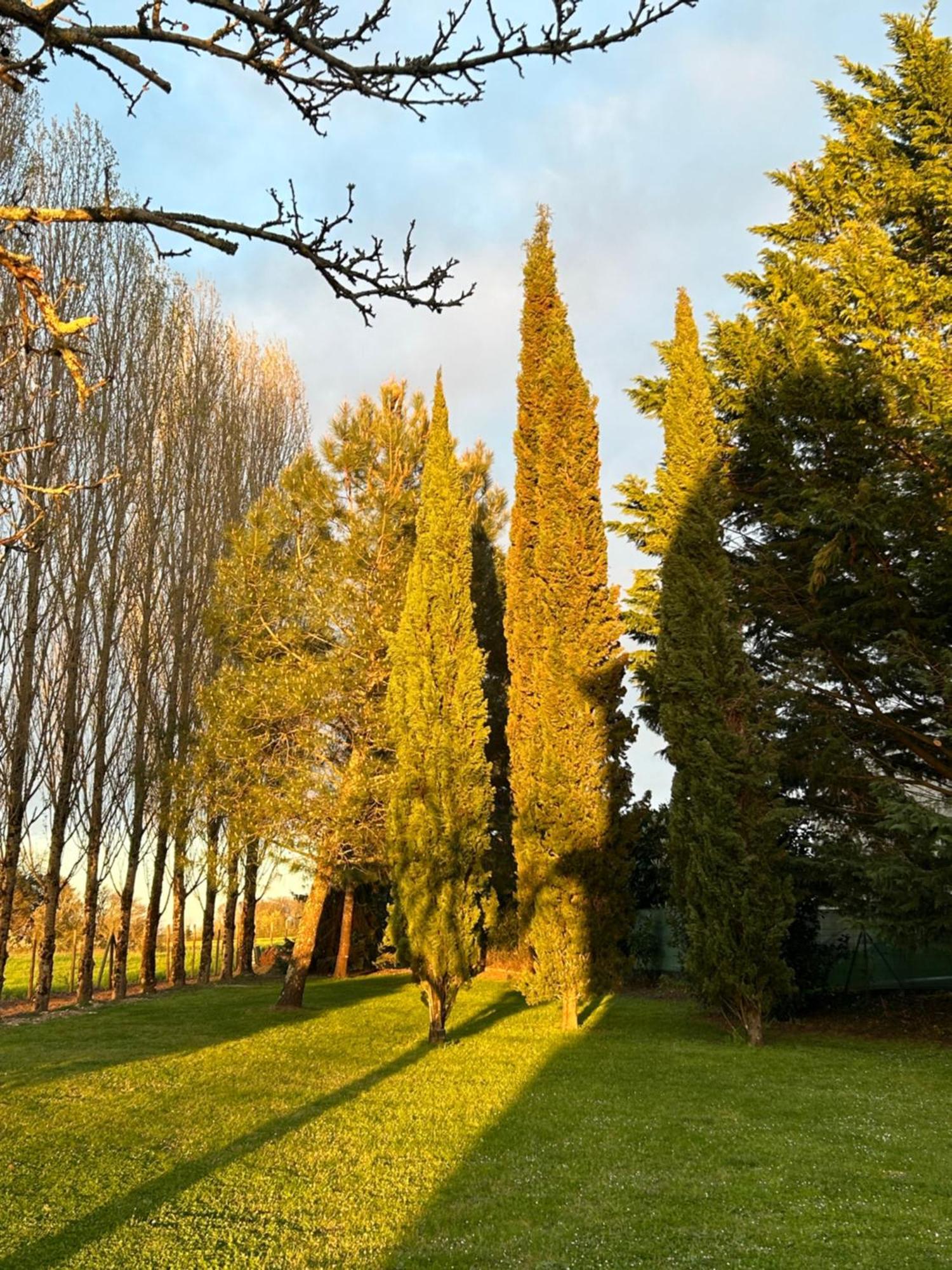 Domaine De La Gemoliere Bed & Breakfast Gemozac Bagian luar foto
